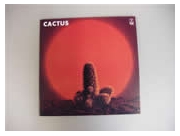 cactus.jpg
