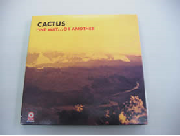 cactas.png